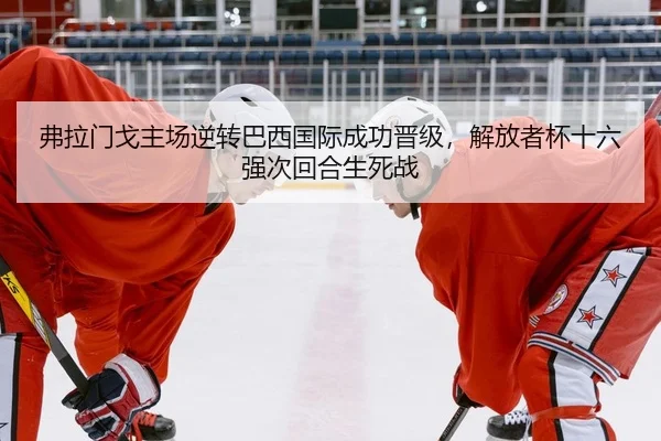fu-la-men-ge-zhu-chang-ni-zhuan-ba-xi-guo-ji-cheng-gong-jin-ji-jie-fang-zhe-bei-shi-liu-qiang-ci-hui-he-sheng-si-zhan-2-604.jpg