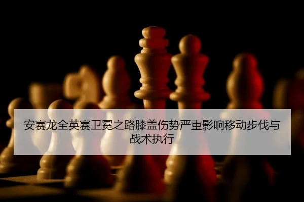 an-sai-long-quan-ying-sai-wei-mian-zhi-lu-xi-gai-shang-shi-yan-zhong-ying-xiang-yi-dong-bu-fa-yu-zhan-shu-zhi-xing-2-394.jpg